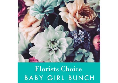 Florists Choice Baby Girl Bunch