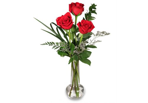3 Red Roses In a Vase