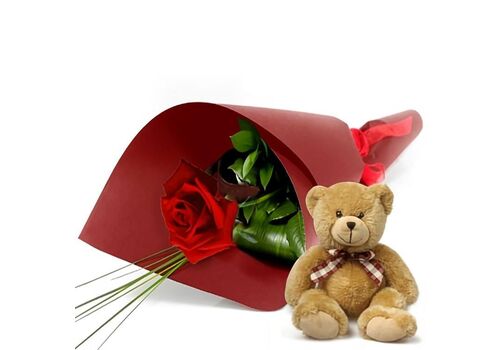 Single Wrapped Rose with Teddy