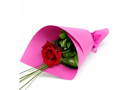 Single red rose only $42.95 and ideal for I Love You message
