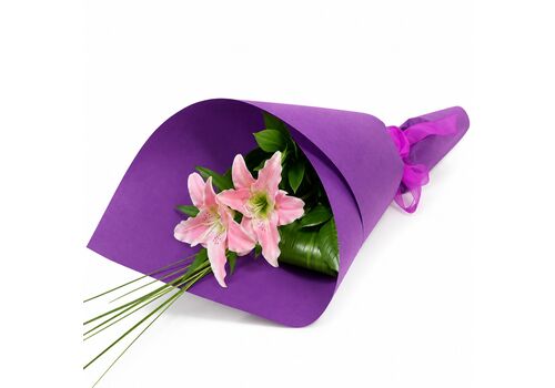 2 beautiful wrapped lily stems lasting for many days
