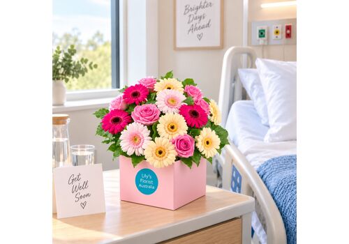 Pastel gerberas set in a box ideal for hospital rooms