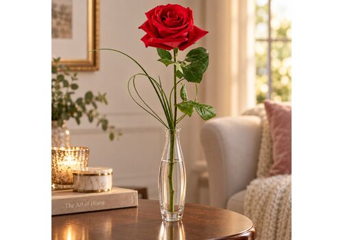 Single red rose in a glass vase