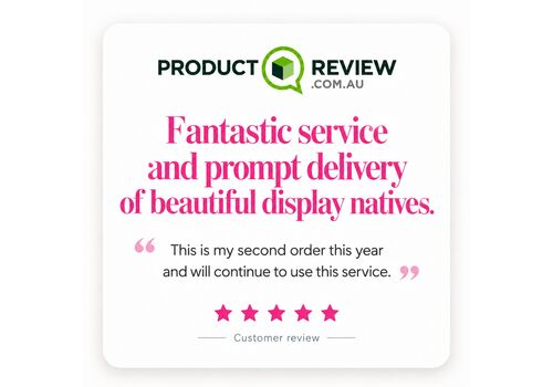 native review