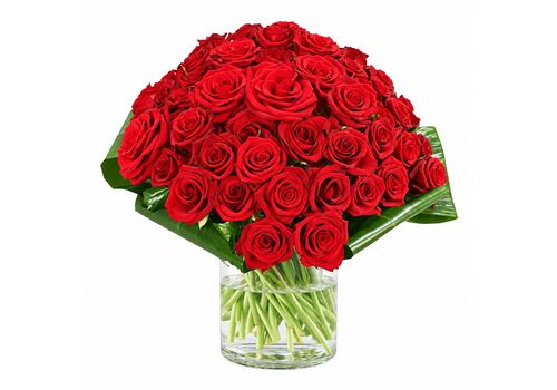 36 red roses in a bnch