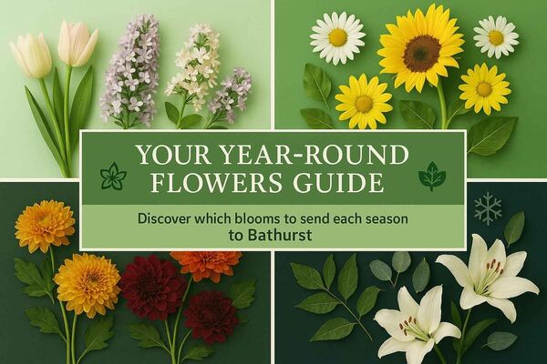 Bathurst Seasonal Flower