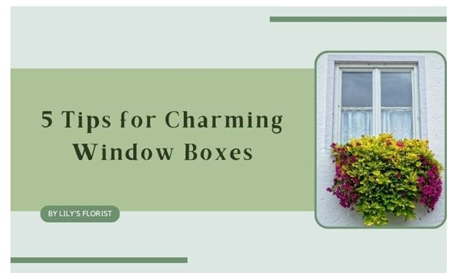 5 Tips for Charming Window Boxes