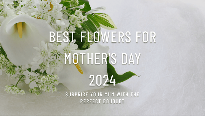 Best Flowers For Mothers Day 2024