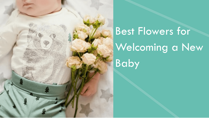 Best Flowers for Welcoming a New Baby