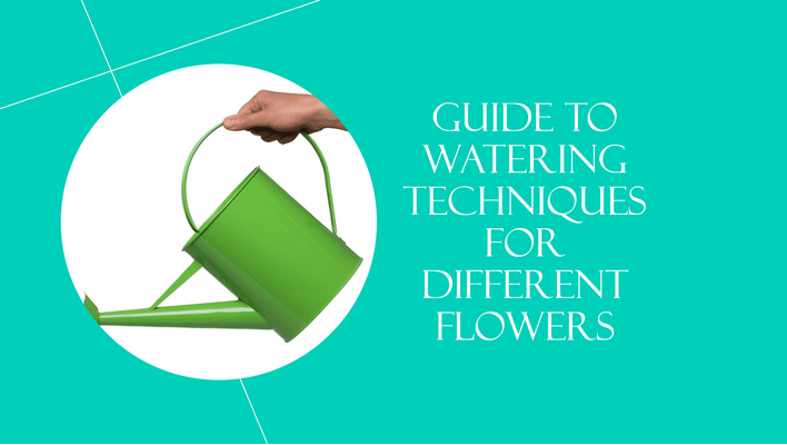 Guide to Watering Techniques for Different Flowers