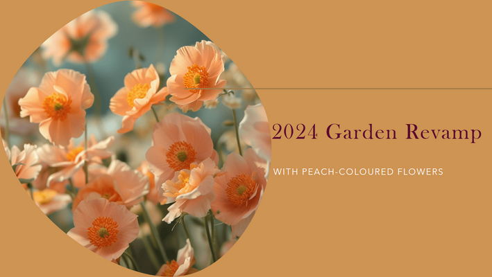 2024 Garden Revamp with Peach Coloured Flowers