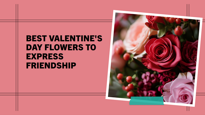 est Valentine's Day Flowers to Express Friendship