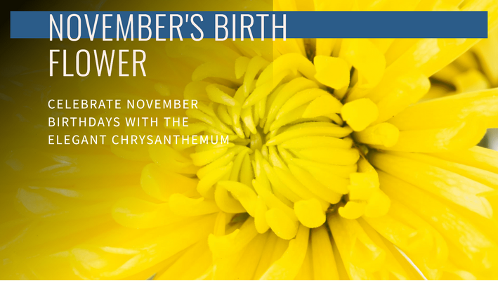 November Birth Flower