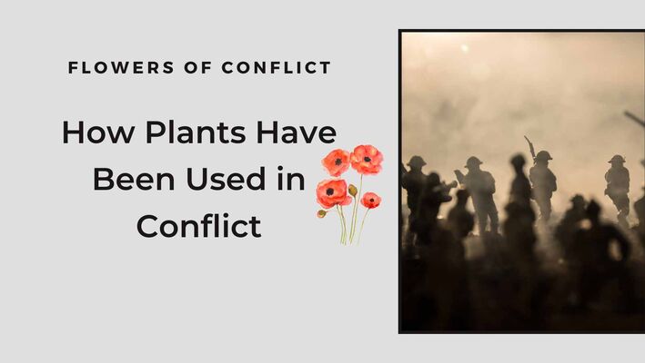 Flowers of War How Plants Have Been Used in Conflict