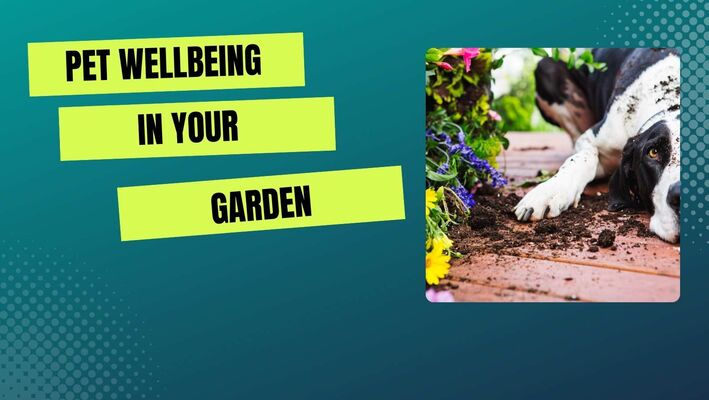 pet wellbeing in your garden