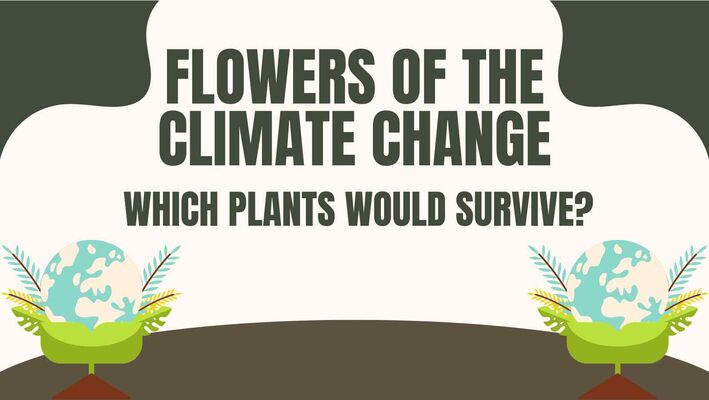Flowers of the Climate Change - Which Plants Would Survive